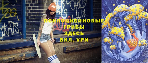 хмурый Алексеевка
